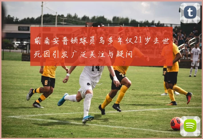 前南安普顿球员乌多年仅21岁去世死因引发广泛关注与疑问