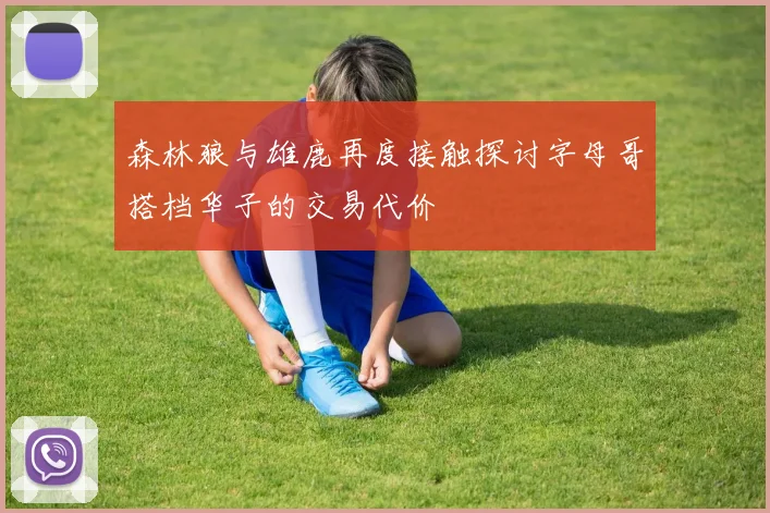 森林狼与雄鹿再度接触探讨字母哥搭档华子的交易代价