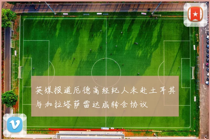 英媒报道厄德高经纪人未赴土耳其与加拉塔萨雷达成转会协议